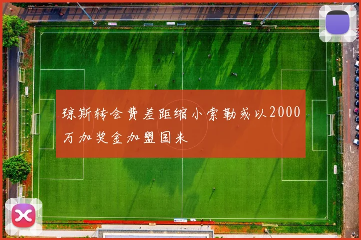琼斯转会费差距缩小索勒或以2000万加奖金加盟国米