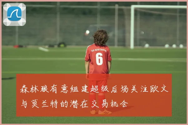 森林狼有意组建超级后场关注欧文与莫兰特的潜在交易机会