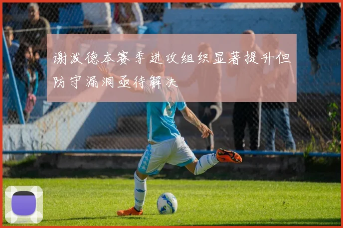 谢泼德本赛季进攻组织显著提升但防守漏洞亟待解决